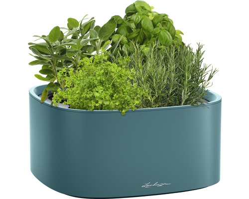 Bloembak met kruiden zoals salie, peterselie, basilicum en rozemarijn
