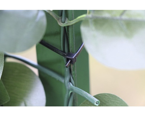 Detailopname van een kabelbinderbevestiging op een groene plantenwand