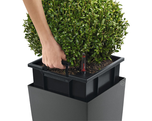 Vrouwenhand bedient irrigatiesysteem in plantenbak met buxus