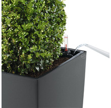 Bewatering van een beplante bloembak met waterniveau-indicator.