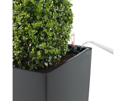 Bewatering van een beplante bloembak met waterniveau-indicator.