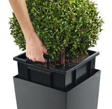 Persoon geeft plant water in een plantenbak met irrigatiesysteem