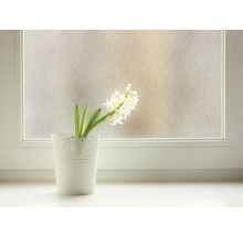 Decoratieve folie op het raam met hyacint in pot
