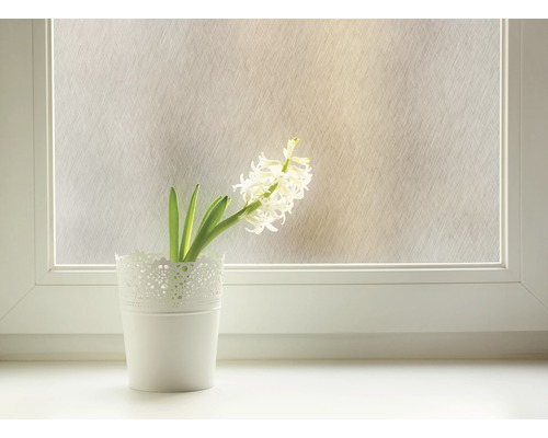 Decoratieve folie op het raam met hyacint in pot