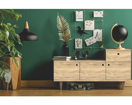 Decoratieve woonkamer met dressoir, plant en hanglamp