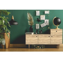 Woonkamer met ladekast, kamerplant, lamp en decoratie