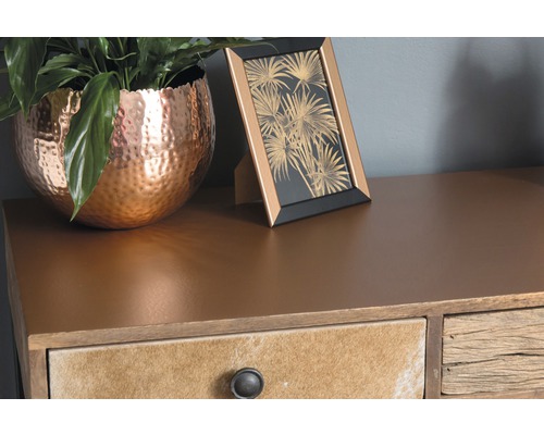 Decoratieve opstelling met potplant, fotolijst en ladekast