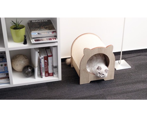 Kat in een kattenhuis met krabvlak naast een plank.