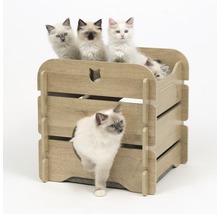 Houten kattenhuis met meerdere Ragdoll-katten