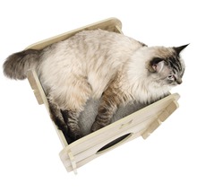 Kat ligt in een houten kattenhuis met ingang