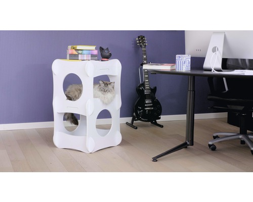 Kat in een wit kattenhuis met meerdere verdiepingen