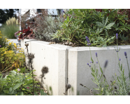Betonnen plantenbak met beplanting in de tuin.
