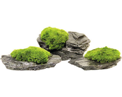 Decoratieve stenen met mos voor aquaria