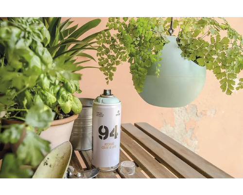 Spuitverf, plantenbak en planten op een houten tafel