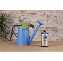 Decoratie met blauwe gieter, plant en verfspuitbus