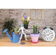 Decoratieve scène met kamerplanten, gieter, wekker en houten figuur op een houten tafel voor een bakstenen muur.