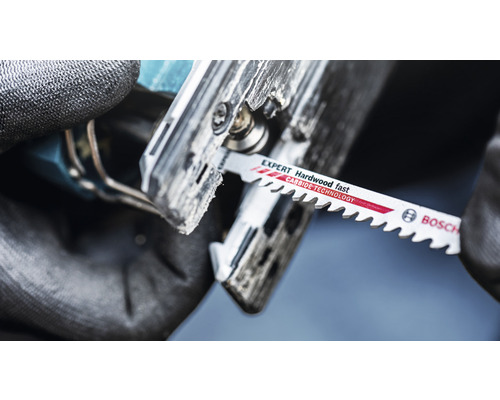 Bosch Logo zaagblad Expert Hardwood Fast in decoupeerzaag