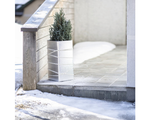 Decoratieve plantenbak met plant voor een huis