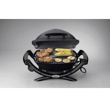 Weber elektrische barbecue met gegrild voedsel
