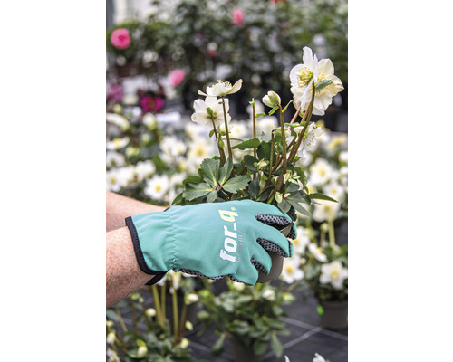 Een persoon houdt een kerstroos in een pot met tuinhandschoenen.