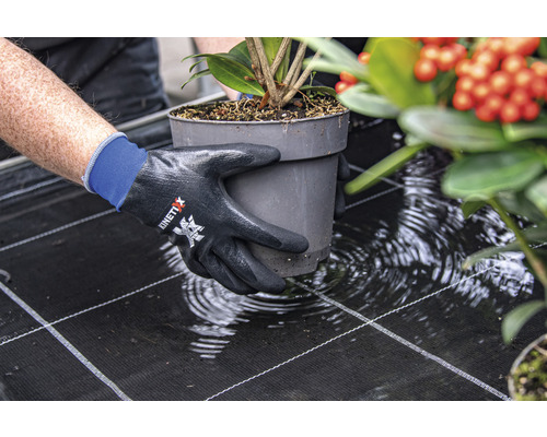 Persoon draagt plant in een pot met KinetiXx tuinhandschoenen