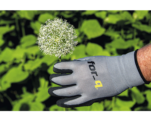 Tuinhandschoen met Allium bloem