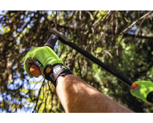 Persoon met tuinhandschoenen houdt een vrucht vast in de tuin