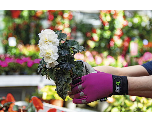 Persoon houdt pot met witte begonia vast met tuinhandschoenen.