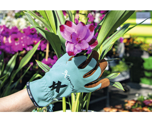 Hand met KinetiXx tuinhandschoen die een roze bloem vasthoudt