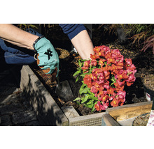 KINETIXX Tuinhandschoen X-Planter groen 2 st