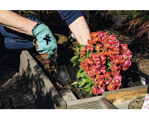 Een persoon plant een bloem in een verhoogde tuinbak met handschoenen en een schep.