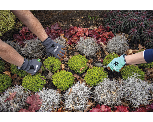 Tuinman plant planten in een tuinbed met tuinhandschoenen.
