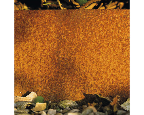 Roestige metalen plaat met stenen en planten