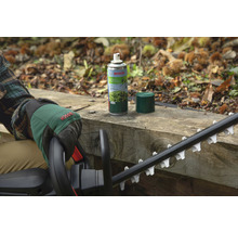 Bosch Logo. Persoon met tuinhandschoenen en heggenschaar naast een spuitbus voor heggenscharenonderhoud op een houten oppervlak.