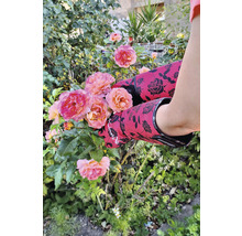 KINETIXX Tuinhandschoen X-Rose rood 2 st