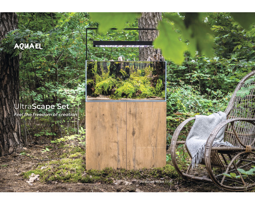 Aquariumset met planten en houten bodem in het bos