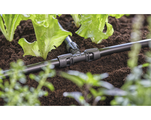 T-stuk voor irrigatie in de tuinbedding