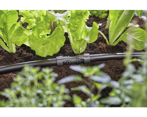 Irrigatiesysteem met verbindingsstuk in de tuin