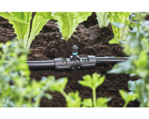 Irrigatiesysteem met druppelaar in tuinbed tussen planten