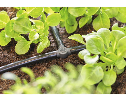 Druppelirrigatiesysteem in de tuin met planten