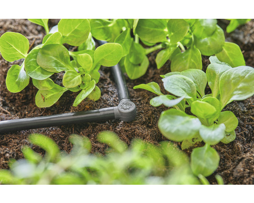 Irrigatiesysteem met slaplanten in de tuin