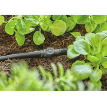 Druppelslang met regelventiel tussen planten in de tuin