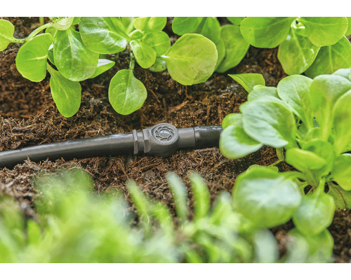 Druppelslang met regelventiel tussen planten in de tuin