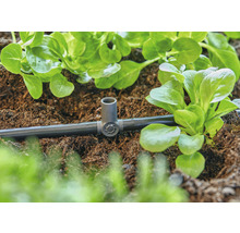 Irrigatiesysteem met druppelslang en planten