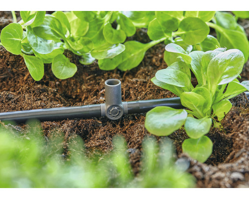 Irrigatiesysteem met druppelslang en planten