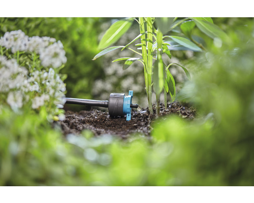 Druppelirrigatie in de tuin voor de irrigatie van planten