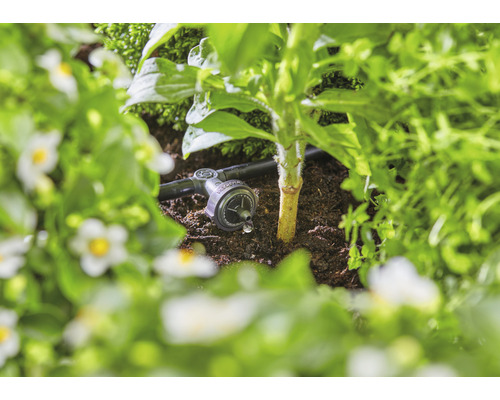Druppelirrigatie in de tuin voor het bewateren van planten.