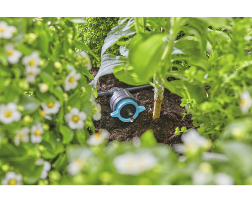 Druppelirrigatie in een tuinbed voor het besproeien van planten