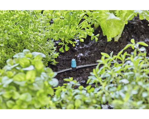 Irrigatiesysteem met druppelaars tussen verschillende planten