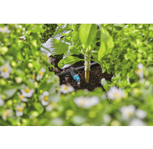 Druppelirrigatiesysteem in een tuinbed met planten